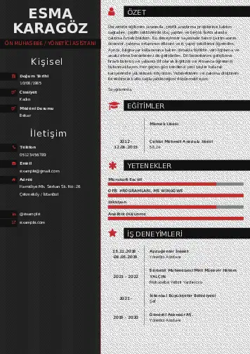 Yönetici Asistanı Cv Örnekleri cv indir
